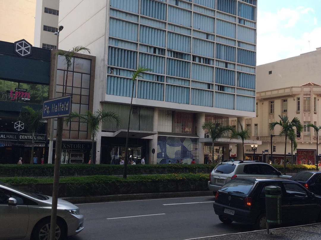 Painéis As Quatro Estações e Cavalos-Juiz de Fora必去景点