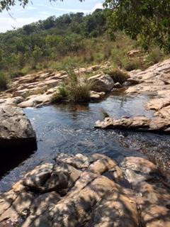 The Boys Bus-约翰内斯堡必去景点