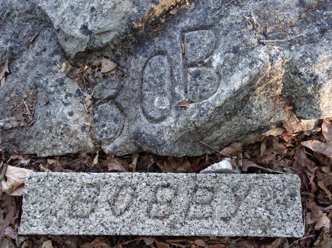 Terhune Memorial Park景点图片