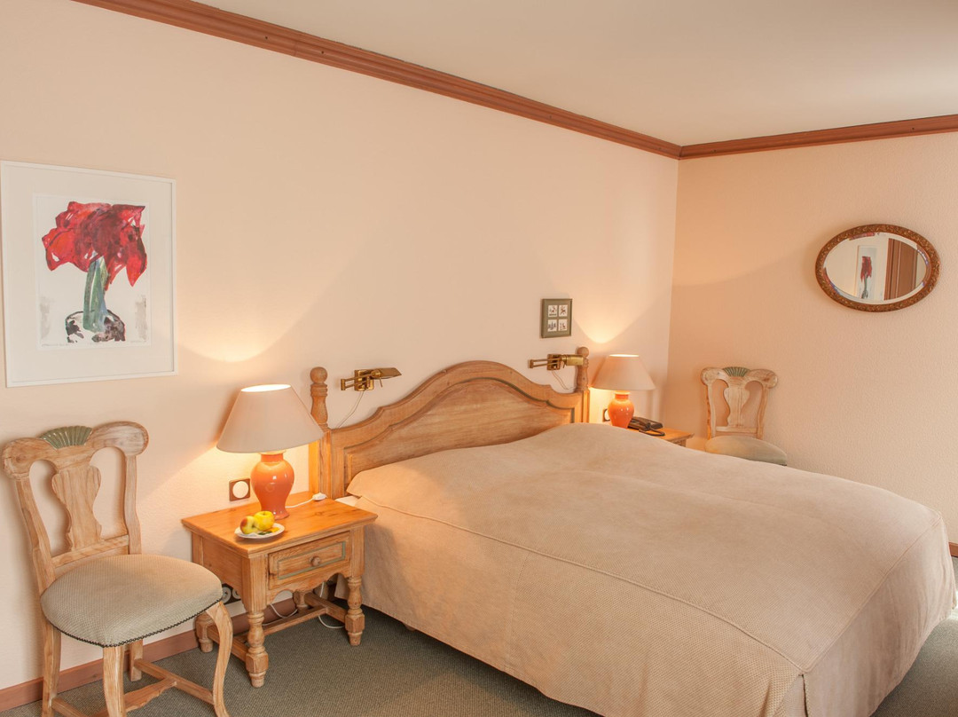 黑尔茨兰德酒店主图