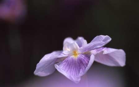 Soneshiro Park-大垣市必去景点