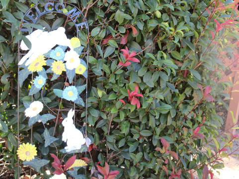 Conejo Valley Botanic Garden-千橡市必去景点