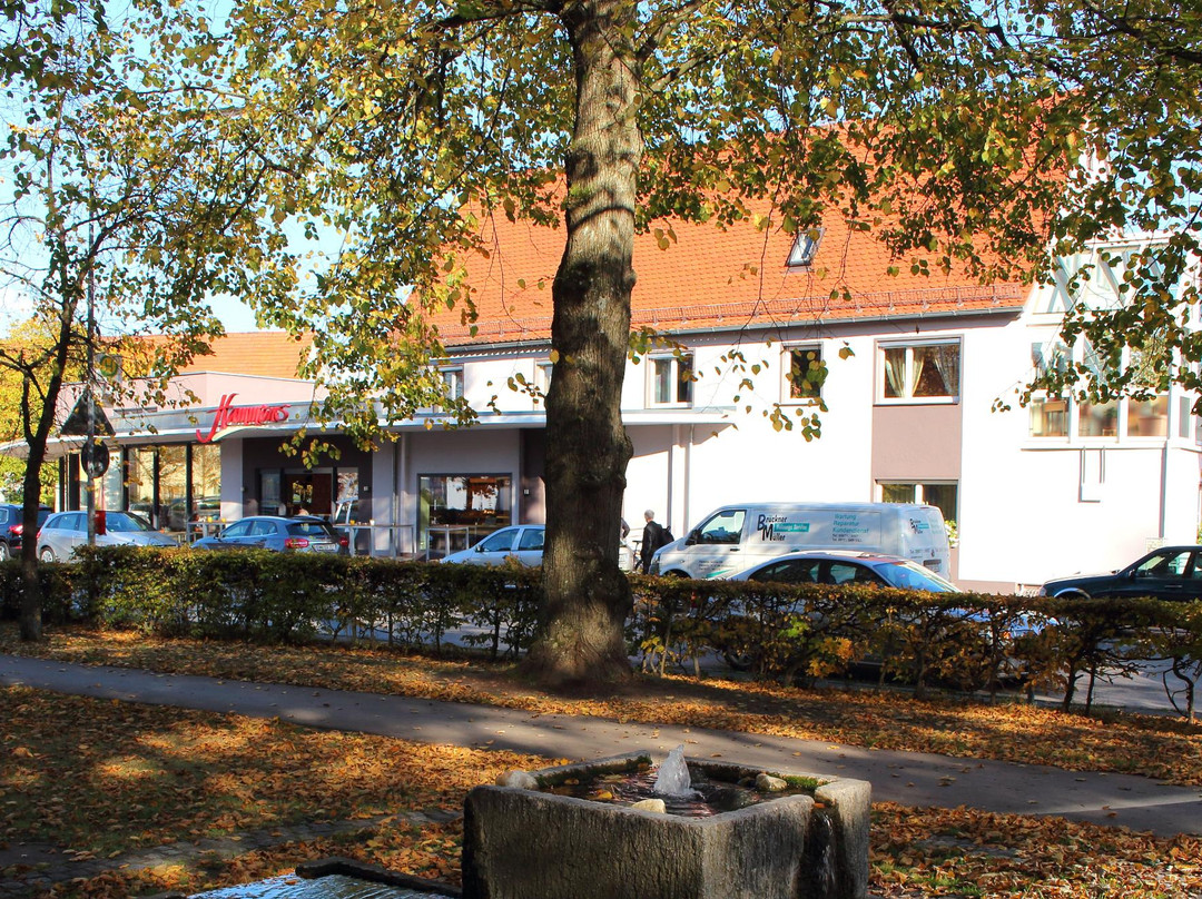 Neuendettelsau旅游攻略图片