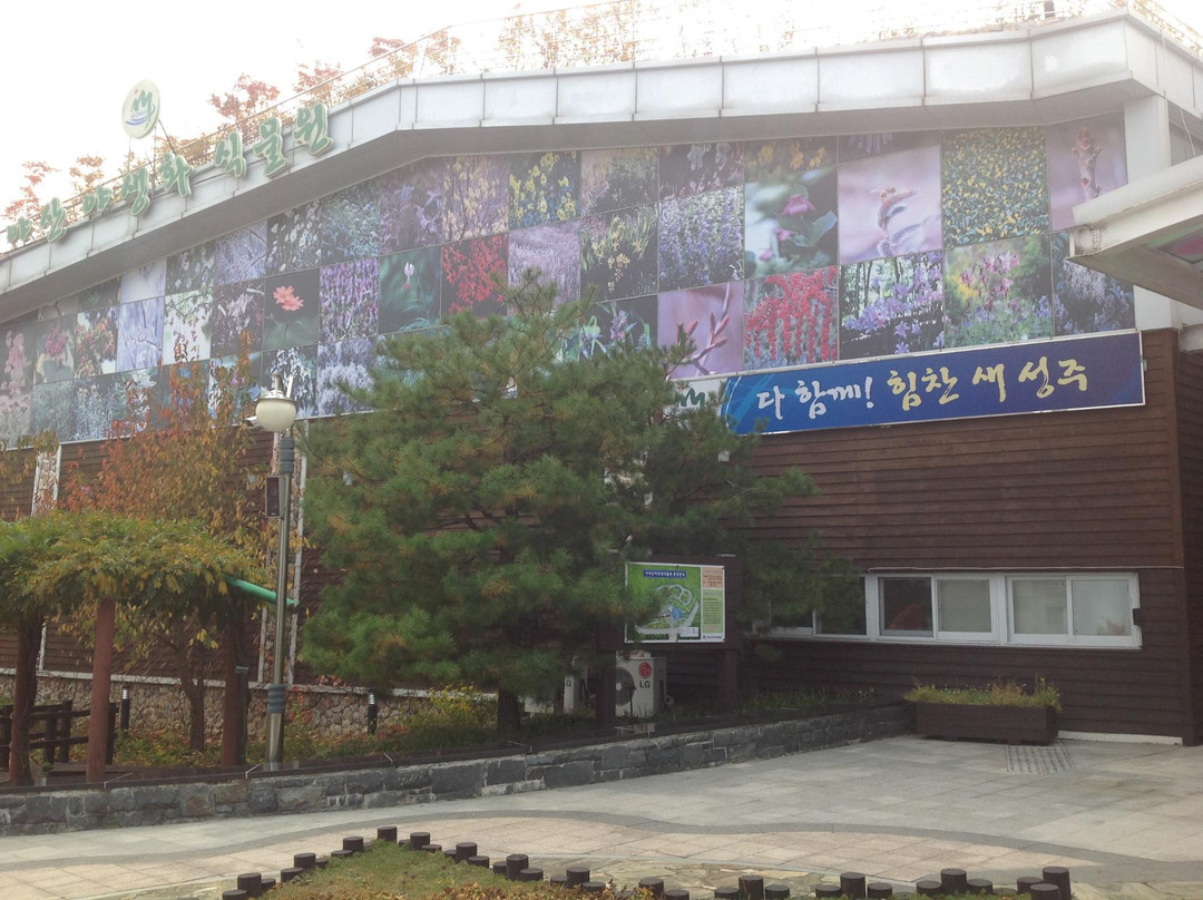 Gayasan Wildflower Botanical Garden-星州郡必去景点