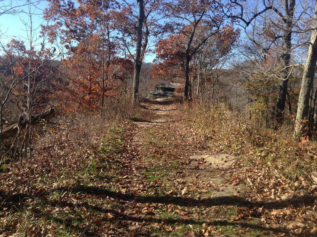 Zaleski State Forest-Zaleski必去景点