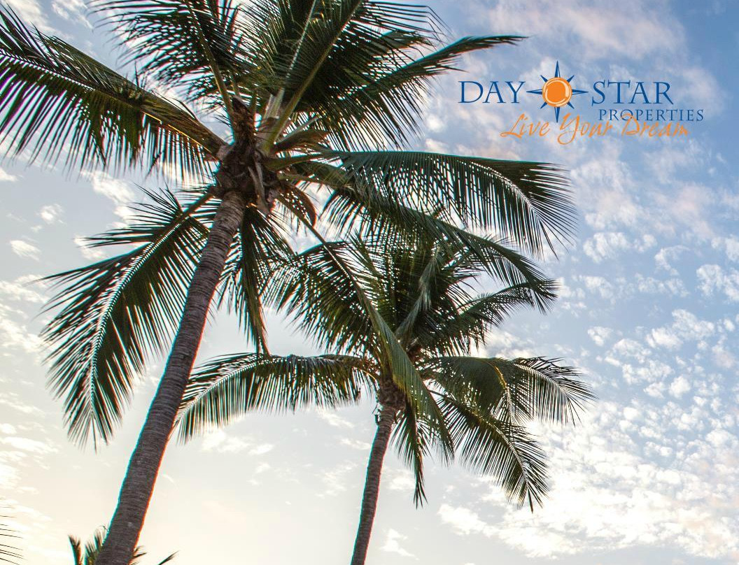 Daystar Center Jaco景点图片
