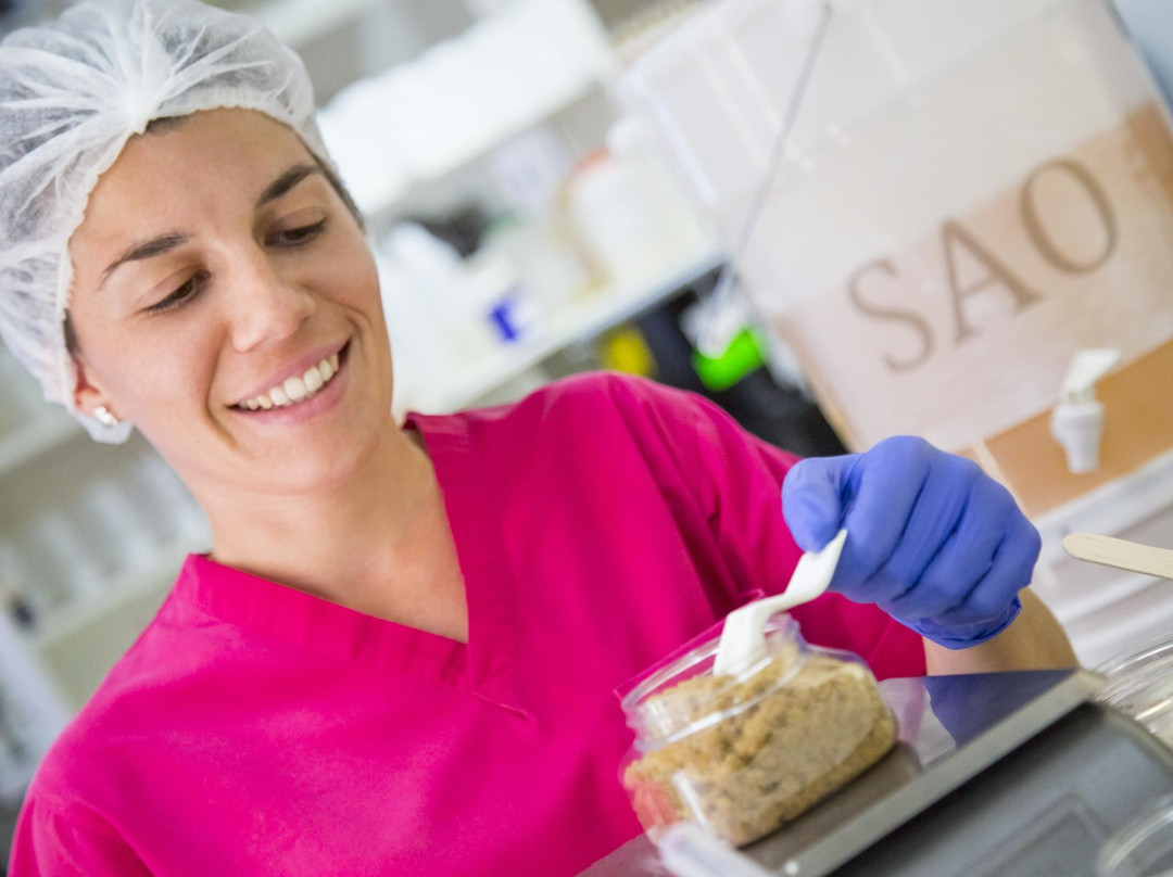 St Maarten Nectar-Cole Bay必去景点