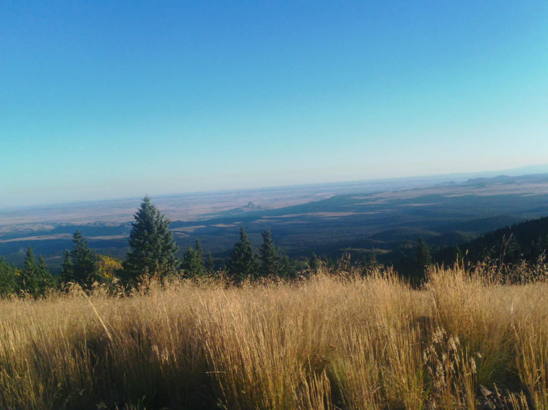 Mount Taylor-Grants必去景点