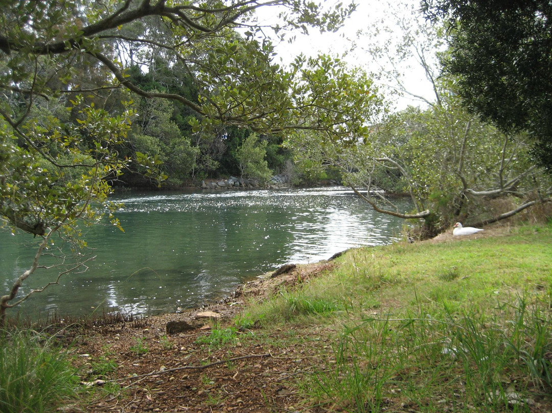 Kooloonbung Creek Nature Park景点图片