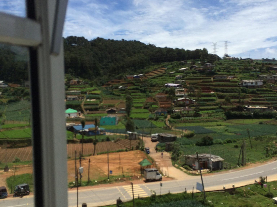 蒙洛赛酒店主图