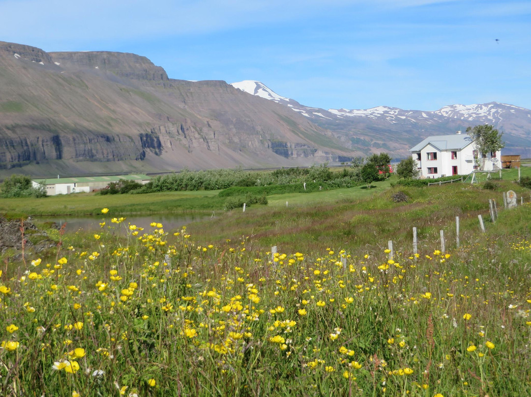 Berg Hostel