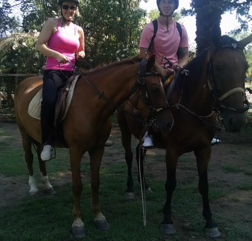 Athina & Dennis Horse Riding Centre-提斯里菲必去景点