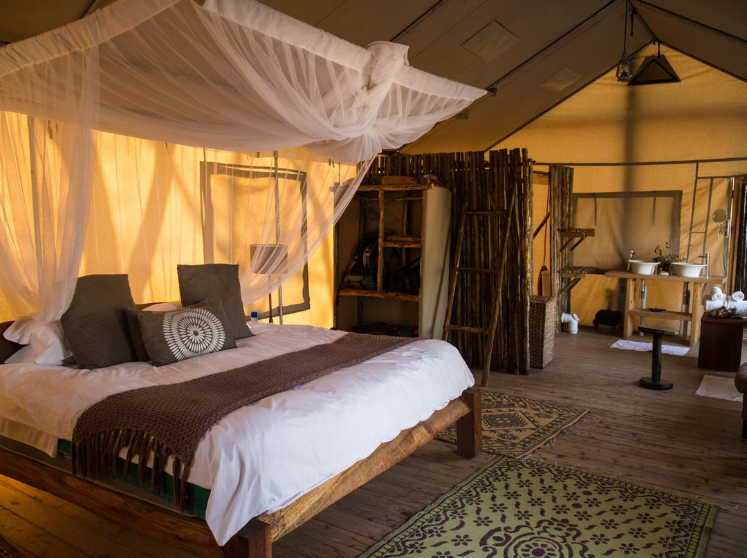 Miombo Safari Camp