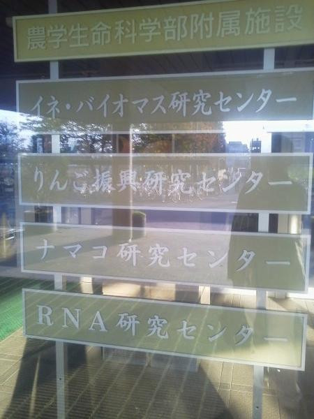 Hirosaki University-弘前市必去景点