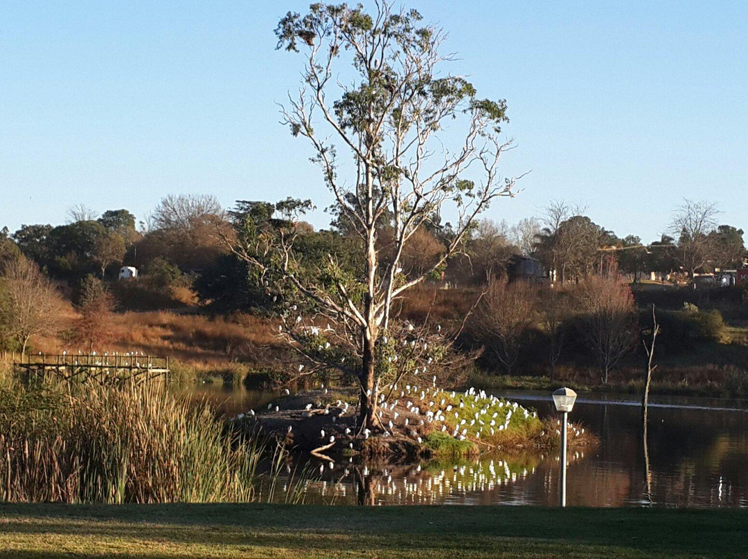 Waterside Lodge