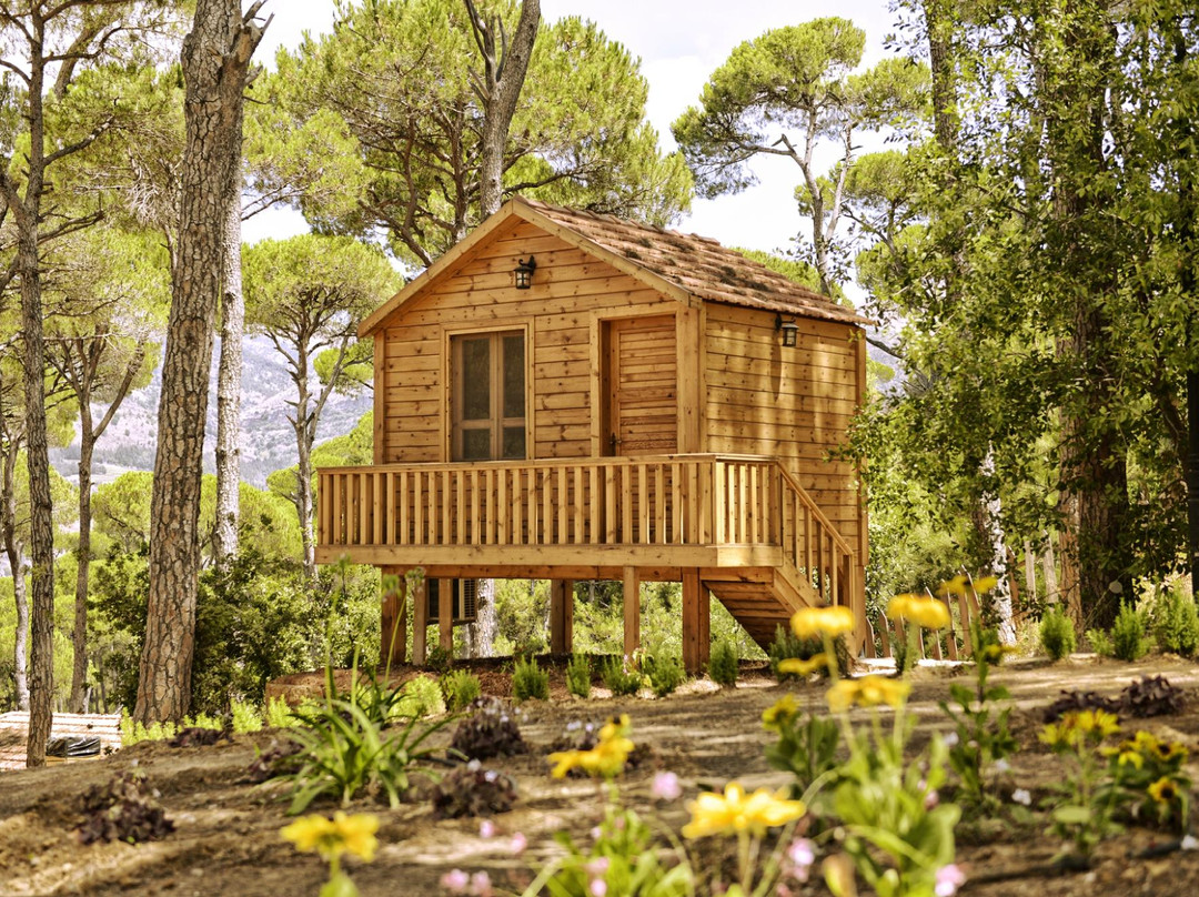La Maison de la Foret