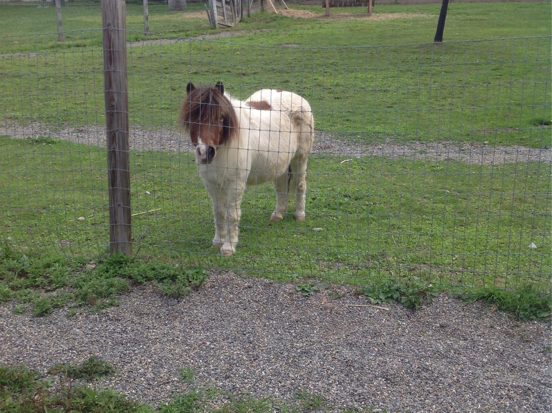 Green Hill Park Farm-伍斯特必去景点