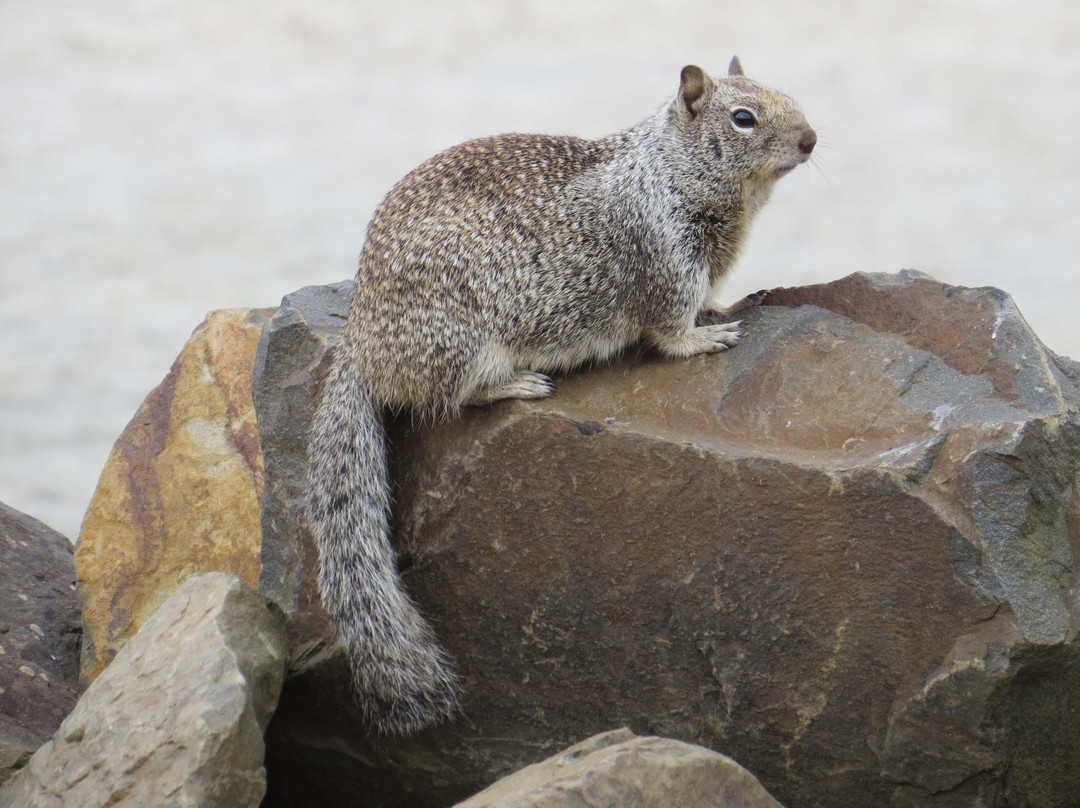 Rockaway Beach Wayside-Rockaway Beach必去景点