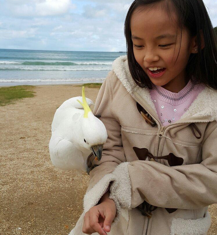 大洋路-阿波罗湾必去景点