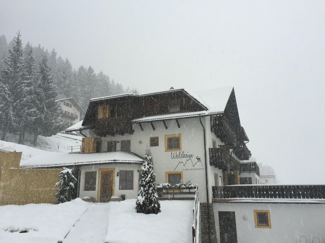 Eores酒店住宿-Waldheim Appartements