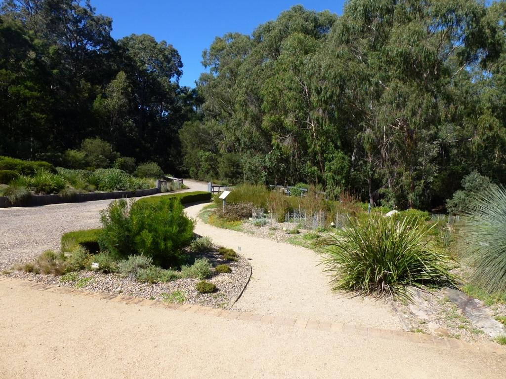 Eurobodalla Regional Botanic Gardens景点图片