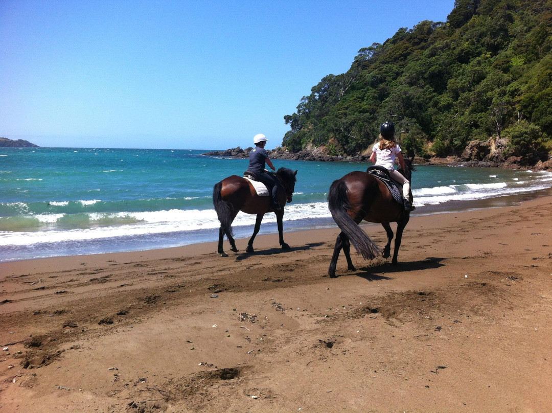 Sandy Bay Horses景点图片