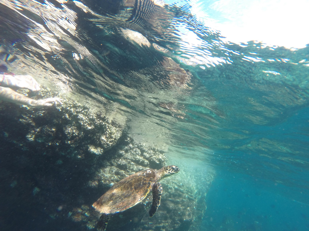 Dive Weh-Sabang必去景点