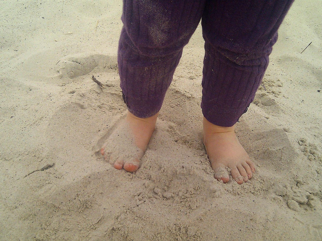 Zdrowotel Leba主图