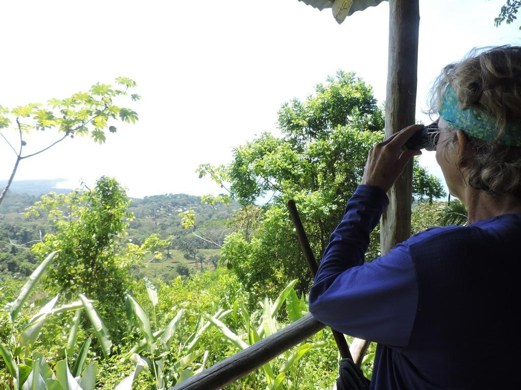Playa Hermosa Turismo Rural Comunitario景点图片