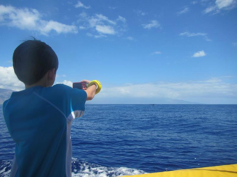 Jean-Michel Cousteau's Ambassadors of the Environment-卡普鲁亚必去景点