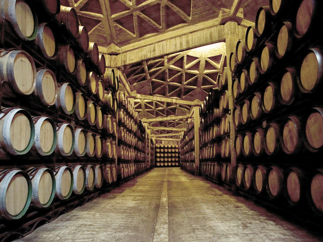 Bodegas Olarra-洛格罗尼奥必去景点