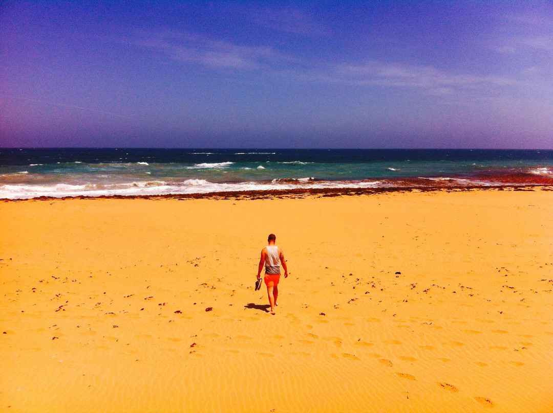 Logan's Beach-瓦南布尔必去景点