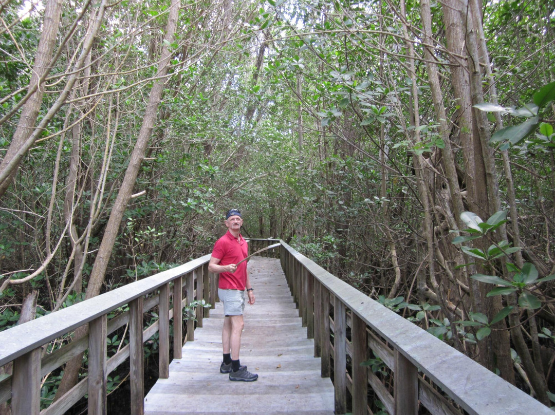 Deerfield Island Park景点图片