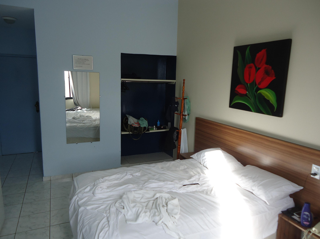 Jacarandá Palace Hotel主图