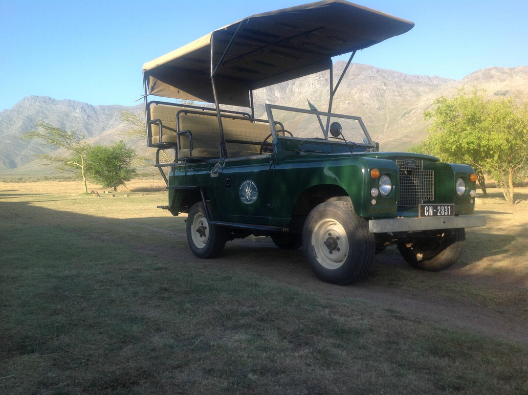 Bontebok Ridge Reserve-惠灵顿必去景点