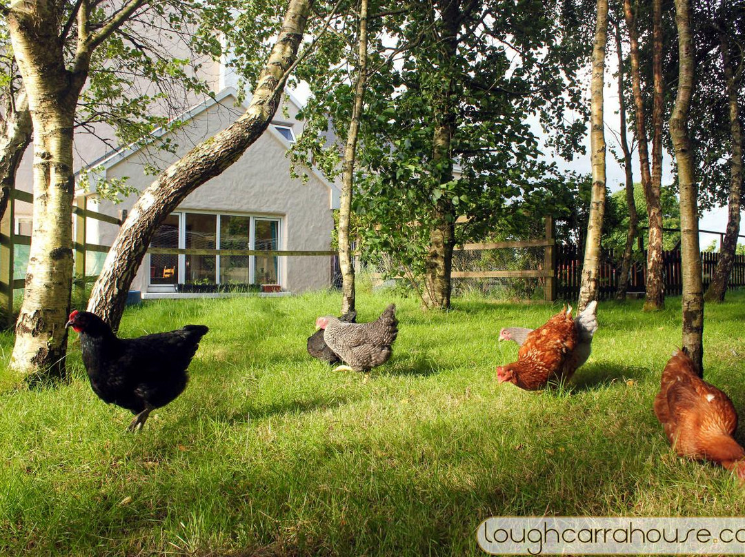 Lough Carra House主图