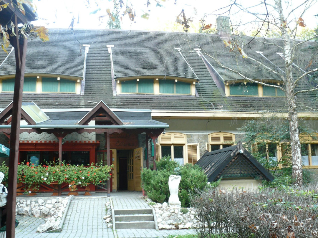 Odvaskoe