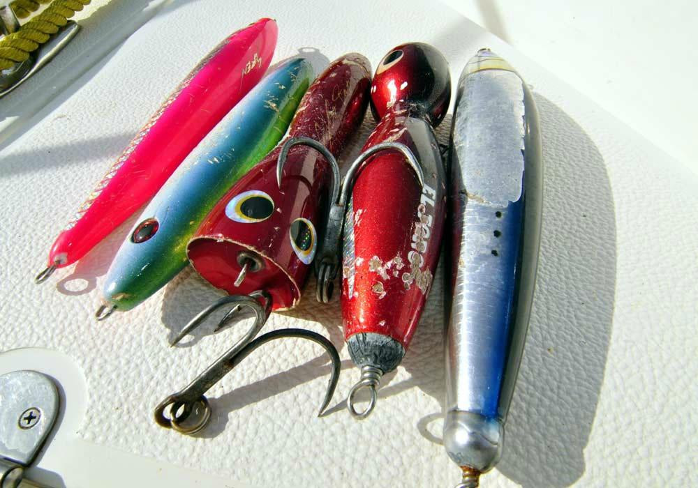 Gamefishing Asia Pvt Ltd-科伦坡必去景点