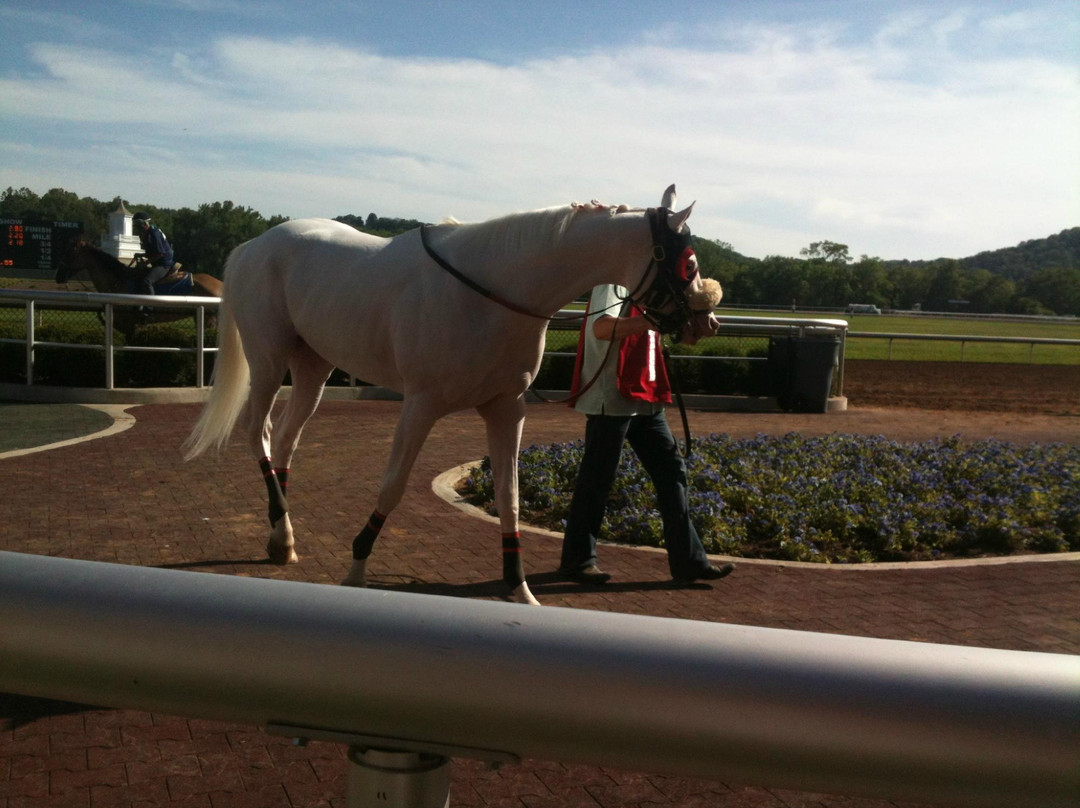 Belterra Park Cincinnati-辛辛那提必去景点