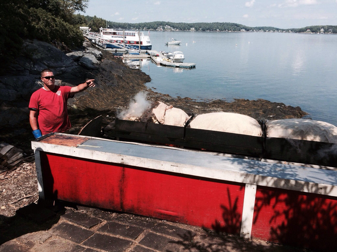 Cabbage Island-布斯贝港必去景点