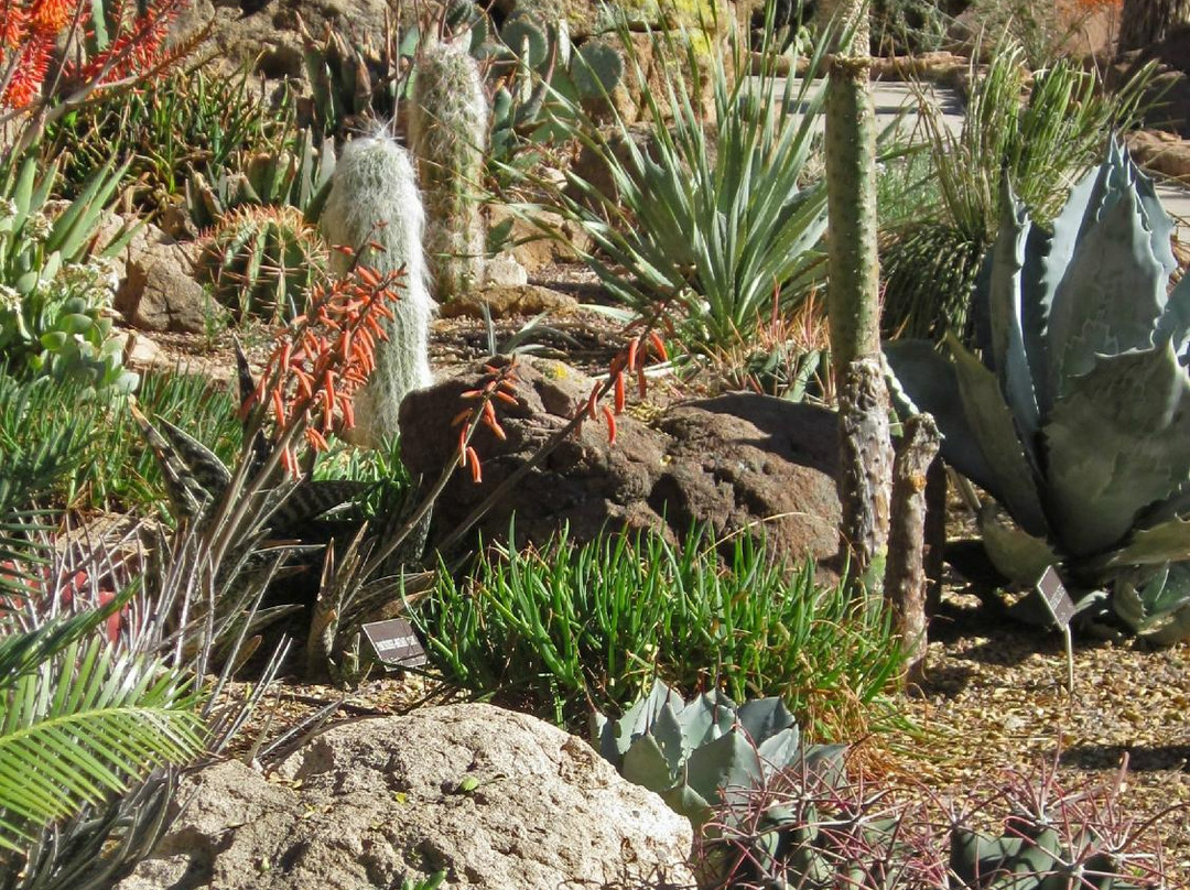 Boyce Thompson Arboretum-Superior必去景点