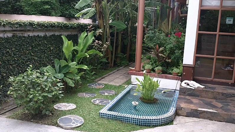 Dr. Tui's Bed and Breakfast-酒店景观