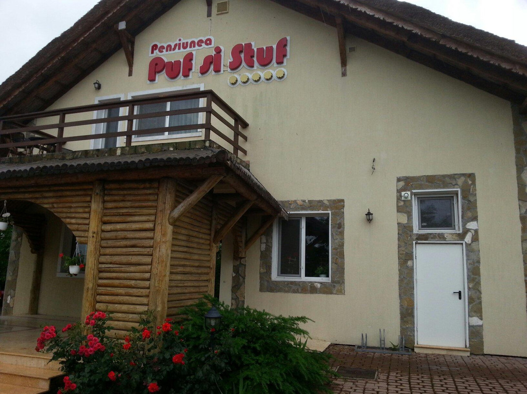Pensiunea Turistica Puf Si Stuf主图