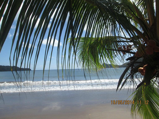 Pension Koku'u主图