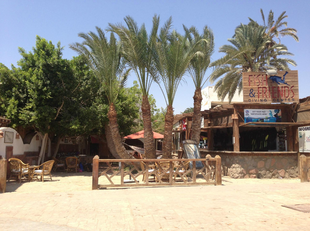 Fish & Friends Diving Centre-达哈卜必去景点