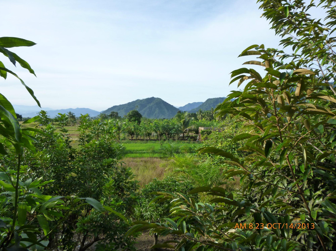 Wanda's Homestay主图