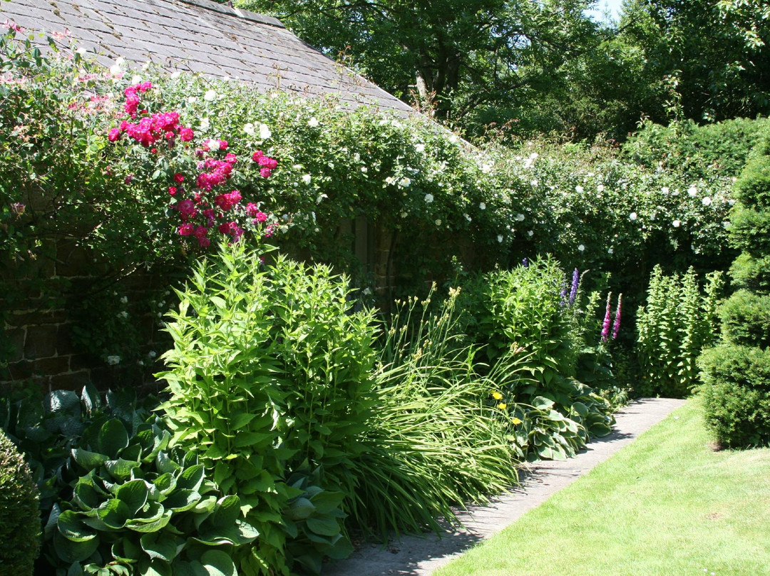 Maidford B & B主图