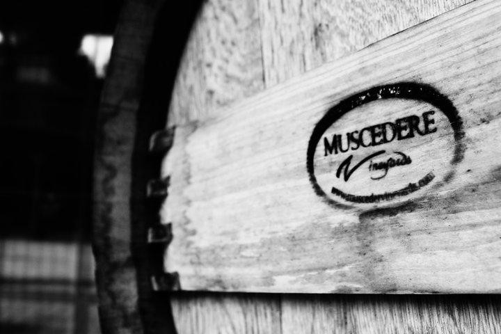 Muscedere Vineyards-Harrow必去景点