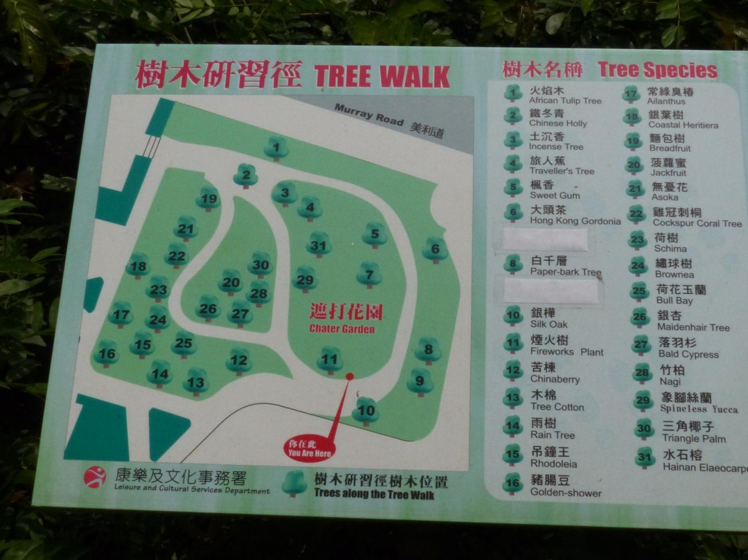 遮打花园-香港必去景点