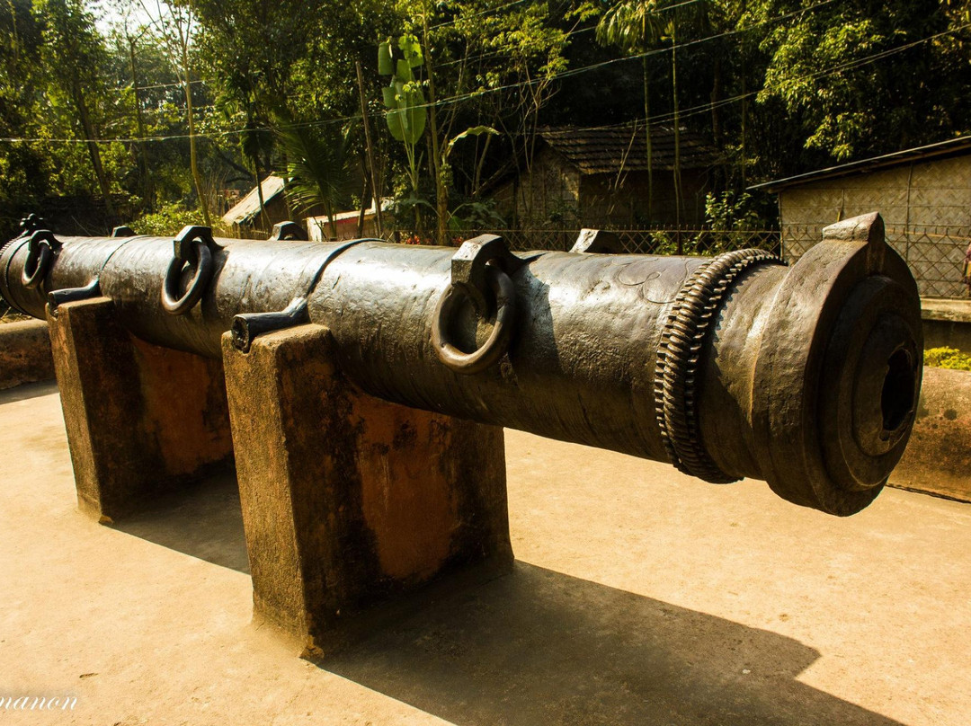 Jahan Kosha Cannon景点图片